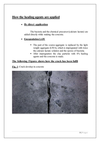 9 | P a g e
How the healing agents are applied
 By direct application
The bacteria and the chemical precursor(calcium lactate) are
added directly while making the concrete.
 Encapsulation LAW
 The part of the coarse aggregate is replaced by the light
weight aggregate (LWA), which is impregnated with twice
the calcium lactate solution and the spores of bacteria.
 After impregnation the clay particles with 6% healing
agents and the concrete is made.
The following Figures shows how the crack has been fulfil
Fig. 1: Crack develop in concrete
 