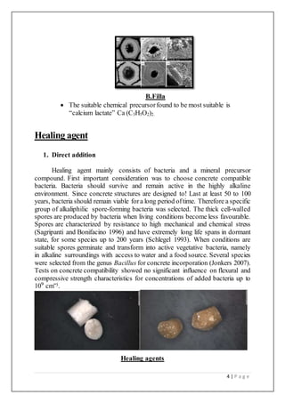 4 | P a g e
B.Filla
 The suitable chemical precursorfound to be most suitable is
“calcium lactate” Ca (C3H5O2)2.
Healing agent
1. Direct addition
Healing agent mainly consists of bacteria and a mineral precursor
compound. First important consideration was to choose concrete compatible
bacteria. Bacteria should survive and remain active in the highly alkaline
environment. Since concrete structures are designed to! Last at least 50 to 100
years, bacteria should remain viable fora long period oftime. Therefore a specific
group of alkaliphilic spore-forming bacteria was selected. The thick cell-walled
spores are produced by bacteria when living conditions become less favourable.
Spores are characterized by resistance to high mechanical and chemical stress
(Sagripanti and Bonifacino 1996) and have extremely long life spans in dormant
state, for some species up to 200 years (Schlegel 1993). When conditions are
suitable spores germinate and transform into active vegetative bacteria, namely
in alkaline surroundings with access to water and a food source. Several species
were selected from the genus Bacillus for concrete incorporation (Jonkers 2007).
Tests on concrete compatibility showed no significant influence on flexural and
compressive strength characteristics for concentrations of added bacteria up to
10⁹ cm‾3.
Healing agents
 