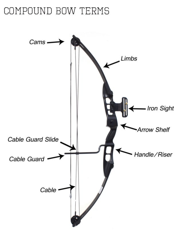 Sergeant Compound Bow Owners Manual