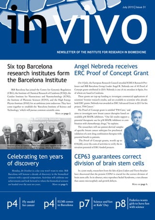 NEWSLETTER OF THE INSTITUTE FOR RESEARCH IN BIOMEDICINE
p4 ELMI comes
to Barcelona
Federica wants
girls to have fun
with science
Fly model
for cancer
p4 p8
p7 Science and fun
at Kids’ Day
invivo
Six top Barcelona
research institutes form
the Barcelona Institute
July 2015 | Issue 31
Angel Nebreda receives
ERC Proof of Concept Grant
On 13 July, the European Research Council awarded ICREA Research Pro-
fessor and IRB Barcelona Group Leader Angel R. Nebreda one of 45 Proof of
Concept grants attributed in 2015. Nebreda is one of six awardees in Spain, five
of whom are based in Catalonia.
These grants are top-up funding to investigate commercial applications of
scientists’ frontier research results, and are available to scientists who already
hold ERC grants. Nebreda was awarded an ERC Advanced Grant in 2011 for his
project, ‘P38 Cancer.’
His Proof of Concept grant is entitled ‘P38 Cure,’ and
aims to investigate new breast cancer therapies based on
available p38 MAPK inhibitors. “Our lab results support a
potential therapeutic use for p38 MAPK inhibitors in com-
bination with chemotherapy drugs,” he explains.
The researchers will use patient-derived samples
of specific breast cancer subtypes for preclinical
validation of a new drug combination therapies with
potential benefit to patients.
The Proof of Concept grants, worth up to
€150,000, cover the costs of activities to verify the in-
novation potential of ERC-funded projects.
IRB Barcelona has joined the Centre for Genomic Regulation
(CRG), the Institute of Chemical Research of Catalonia (ICIQ), the
Catalan Institute for Nanoscience and Nanotechnology (ICN2),
the Institute of Photonic Sciences (ICFO), and the High Energy
Physics Institute (IFAE) for an ambitious joint endeavour. They have
come together to establish the ‘Barcelona Institute of Science and
Technology,’ which will pursue common scientific aims.
More on page 2.
Directors of the six Catalan centres that have come together to form the
Barcelona Institute of Science and Technology. (Photo: R. Vilalta).
Celebrating ten years
of discovery
Monday, 26 October is a day you won’t want to miss. IRB
Barcelona will honour a decade of discovery in the biomedical
sciences with a special symposium. Activities will celebrate our
achievements and look forward to where the biomedical sciences
are headed over the next ten years.	 More on page 5.
CEP63 guarantees correct
division of brain stem cells
In a joint study, researchers from the labs of Jens Lüders and Travis Stracker
have discovered that the protein CEP63 is crucial for the correct division of
brain stem cells. In its absence, mice reproduce Seckel Syndrome, a rare disease
that causes microcephaly and growth defects.
More on page 3.
 