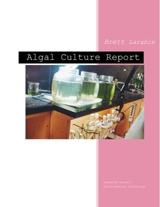 Brett Larabie
Samantha Hornell
Environmental Toxicology
Algal Culture Report
 