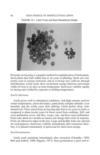 FIGURE 12.1. Litchi Fruits and Dark Recalcitrant Seeds




Presently air layering is a popular method for multiplication of litchi plants.
Such plants bear fruit within four to six years of planting. Seeds are com-
monly used in raising rootstocks and in evolving new cultivars through
hybridization. Litchi seeds show recalcitrant storage behavior and remain
viable for four to six days at room temperature. Seed loses viability rapidly
on drying and is killed by exposure to chilling temperatures.

Seed Collections

   Litchi grows well in subtropical conditions, with high summer and low
winter temperatures, and in the tropics, particularly at higher altitudes. Low
humidity and dry winds cause fruit splitting. Litchi prefers deep, well-
drained soil. Trees raised from air layering take four to six years to yield, as
compared to about twenty years for those raised from seedlings. Self- and
cross-pollination occur, and flies, wasps, ants, and bees cause pollination.
Fruits take about two months to mature and change their color on maturity.
Fruits are allowed to ripen on the tree. Large and healthy fruits are selected
for seed purposes. Seed loses viability immediately after extraction; there-
fore, it is planted immediately or processed for short-term storage.

Seed Germination

  Litchi seeds germinate immediately after extraction (Chandler, 1958;
Bolt and Joubert, 1968; Higgins, 1971). Seed germination is poor and er-
 