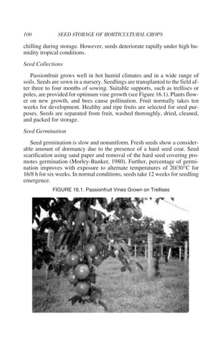 chilling during storage. However, seeds deteriorate rapidly under high hu-
midity tropical conditions.
Seed Collections
   Passionfruit grows well in hot humid climates and in a wide range of
soils. Seeds are sown in a nursery. Seedlings are transplanted to the field af-
ter three to four months of sowing. Suitable supports, such as trellises or
poles, are provided for optimum vine growth (see Figure 16.1). Plants flow-
er on new growth, and bees cause pollination. Fruit normally takes ten
weeks for development. Healthy and ripe fruits are selected for seed pur-
poses. Seeds are separated from fruit, washed thoroughly, dried, cleaned,
and packed for storage.
Seed Germination
   Seed germination is slow and nonuniform. Fresh seeds show a consider-
able amount of dormancy due to the presence of a hard seed coat. Seed
scarification using sand paper and removal of the hard seed covering pro-
motes germination (Morley-Bunker, 1980). Further, percentage of germi-
nation improves with exposure to alternate temperatures of 20/30°C for
16/8 h for six weeks. In normal conditions, seeds take 12 weeks for seedling
emergence.
             FIGURE 16.1. Passionfruit Vines Grown on Trellises
 