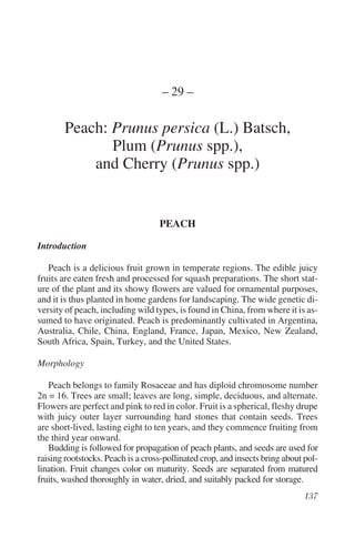 – 29 –

       Peach: Prunus persica (L.) Batsch,
              Plum (Prunus spp.),
           and Cherry (Prunus spp.)


                                   PEACH

Introduction

   Peach is a delicious fruit grown in temperate regions. The edible juicy
fruits are eaten fresh and processed for squash preparations. The short stat-
ure of the plant and its showy flowers are valued for ornamental purposes,
and it is thus planted in home gardens for landscaping. The wide genetic di-
versity of peach, including wild types, is found in China, from where it is as-
sumed to have originated. Peach is predominantly cultivated in Argentina,
Australia, Chile, China, England, France, Japan, Mexico, New Zealand,
South Africa, Spain, Turkey, and the United States.

Morphology

   Peach belongs to family Rosaceae and has diploid chromosome number
2n = 16. Trees are small; leaves are long, simple, deciduous, and alternate.
Flowers are perfect and pink to red in color. Fruit is a spherical, fleshy drupe
with juicy outer layer surrounding hard stones that contain seeds. Trees
are short-lived, lasting eight to ten years, and they commence fruiting from
the third year onward.
   Budding is followed for propagation of peach plants, and seeds are used for
raising rootstocks. Peach is a cross-pollinated crop, and insects bring about pol-
lination. Fruit changes color on maturity. Seeds are separated from matured
fruits, washed thoroughly in water, dried, and suitably packed for storage.
 
