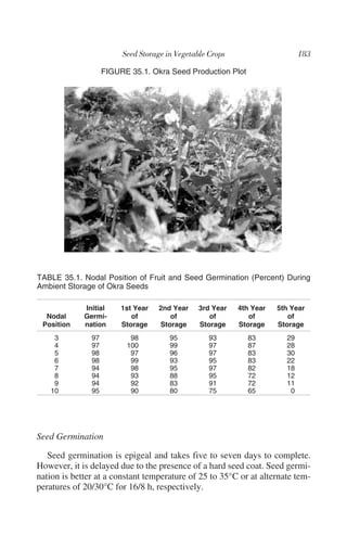 FIGURE 35.1. Okra Seed Production Plot




TABLE 35.1. Nodal Position of Fruit and Seed Germination (Percent) During
Ambient Storage of Okra Seeds

             Initial     1st Year   2nd Year   3rd Year   4th Year   5th Year
  Nodal      Germi-         of         of         of         of         of
 Position    nation      Storage    Storage    Storage    Storage    Storage
    3          97          98         95         93          83        29
    4          97         100         99         97          87        28
    5          98          97         96         97          83        30
    6          98          99         93         95          83        22
    7          94          98         95         97          82        18
    8          94          93         88         95          72        12
    9          94          92         83         91          72        11
   10          95          90         80         75          65         0




Seed Germination

   Seed germination is epigeal and takes five to seven days to complete.
However, it is delayed due to the presence of a hard seed coat. Seed germi-
nation is better at a constant temperature of 25 to 35°C or at alternate tem-
peratures of 20/30°C for 16/8 h, respectively.
 