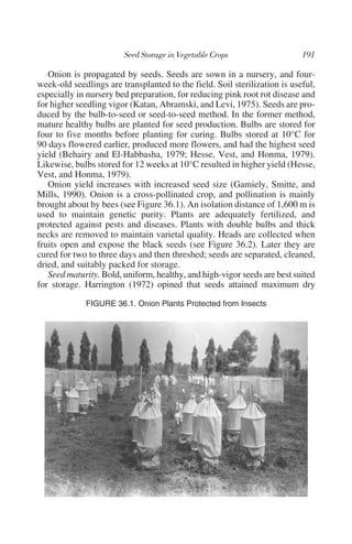 Onion is propagated by seeds. Seeds are sown in a nursery, and four-
week-old seedlings are transplanted to the field. Soil sterilization is useful,
especially in nursery bed preparation, for reducing pink root rot disease and
for higher seedling vigor (Katan, Abramski, and Levi, 1975). Seeds are pro-
duced by the bulb-to-seed or seed-to-seed method. In the former method,
mature healthy bulbs are planted for seed production. Bulbs are stored for
four to five months before planting for curing. Bulbs stored at 10°C for
90 days flowered earlier, produced more flowers, and had the highest seed
yield (Behairy and El-Habbasha, 1979; Hesse, Vest, and Honma, 1979).
Likewise, bulbs stored for 12 weeks at 10°C resulted in higher yield (Hesse,
Vest, and Honma, 1979).
   Onion yield increases with increased seed size (Gamiely, Smitte, and
Mills, 1990). Onion is a cross-pollinated crop, and pollination is mainly
brought about by bees (see Figure 36.1). An isolation distance of 1,600 m is
used to maintain genetic purity. Plants are adequately fertilized, and
protected against pests and diseases. Plants with double bulbs and thick
necks are removed to maintain varietal quality. Heads are collected when
fruits open and expose the black seeds (see Figure 36.2). Later they are
cured for two to three days and then threshed; seeds are separated, cleaned,
dried, and suitably packed for storage.
   Seed maturity. Bold, uniform, healthy, and high-vigor seeds are best suited
for storage. Harrington (1972) opined that seeds attained maximum dry

             FIGURE 36.1. Onion Plants Protected from Insects
 