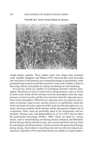 FIGURE 36.2. Onion Heads Ready for Harvest




weight during maturity. These mature seeds store longer than immature
seeds. Sandhu, Nandpuri, and Thakur (1972) observed that seeds harvested
one week prior to full maturity gave normal percentage of germination, while
germination decreased in seeds harvested two weeks early. Further, a delay in
harvesting affects seed quality by risking rain damage or seed shattering.
   Seed drying. Seeds are capable of exchanging moisture with the atmo-
sphere. The process is faster in seeds rich in storage proteins, and it is slower
in onion seeds. Seeds absorb moisture from the atmosphere when the vapor
pressure is lower in seeds, and they lose moisture when the vapor pressure is
lower in the atmosphere. When the two vapor pressures are equal, no move-
ment of moisture vapor occurs, and the system is in equilibrium. Seeds dry
on the movement of water vapor out of the seeds into the atmosphere by cre-
ating a moisture gradient. Seed structure will be damaged at a higher rate of
evaporation. Thus, seeds are preferably dried at low temperature and low
humidity. Drying seeds with dehumidified air at 25 to 40°C did not affect
the germination percentage (Pohler, 1984). Seeds are dried by various
means, such as natural drying; sun drying; heated, unheated, and dehumidi-
fied air drying; drying with desiccants; and vacuum and freeze-drying. Each
has advantages and disadvantages. Seeds are protected against heat damage
during drying. Seeds dried in scorching heat and sun showed reduced ger-
mination. Copeland (1976) noted that drying too rapidly at a high tempera-
 