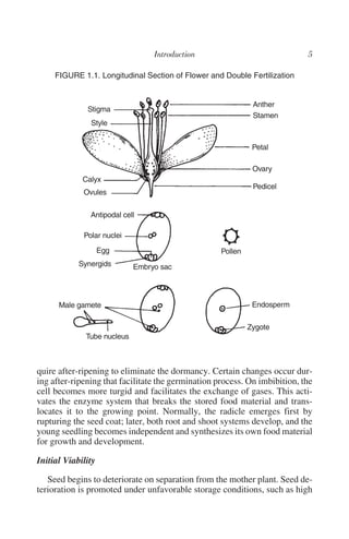 FIGURE 1.1. Longitudinal Section of Flower and Double Fertilization


                                                              Anther
              Stigma
                                                              Stamen
               Style


                                                              Petal

                                                              Ovary
             Calyx
                                                              Pedicel
             Ovules

               Antipodal cell

             Polar nuclei
                    Egg                             Pollen
            Synergids        Embryo sac




      Male gamete                                             Endosperm

                                                             Zygote
              Tube nucleus



quire after-ripening to eliminate the dormancy. Certain changes occur dur-
ing after-ripening that facilitate the germination process. On imbibition, the
cell becomes more turgid and facilitates the exchange of gases. This acti-
vates the enzyme system that breaks the stored food material and trans-
locates it to the growing point. Normally, the radicle emerges first by
rupturing the seed coat; later, both root and shoot systems develop, and the
young seedling becomes independent and synthesizes its own food material
for growth and development.

Initial Viability

   Seed begins to deteriorate on separation from the mother plant. Seed de-
terioration is promoted under unfavorable storage conditions, such as high
 