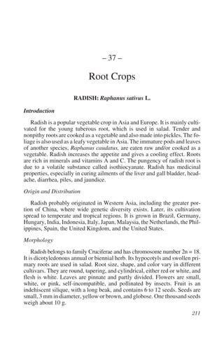 – 37 –

                            Root Crops

                      RADISH: Raphanus sativus L.

Introduction
   Radish is a popular vegetable crop in Asia and Europe. It is mainly culti-
vated for the young tuberous root, which is used in salad. Tender and
nonpithy roots are cooked as a vegetable and also made into pickles. The fo-
liage is also used as a leafy vegetable in Asia. The immature pods and leaves
of another species, Raphanus caudatus, are eaten raw and/or cooked as a
vegetable. Radish increases the appetite and gives a cooling effect. Roots
are rich in minerals and vitamins A and C. The pungency of radish root is
due to a volatile substance called isothiocyanate. Radish has medicinal
properties, especially in curing ailments of the liver and gall bladder, head-
ache, diarrhea, piles, and jaundice.
Origin and Distribution
   Radish probably originated in Western Asia, including the greater por-
tion of China, where wide genetic diversity exists. Later, its cultivation
spread to temperate and tropical regions. It is grown in Brazil, Germany,
Hungary, India, Indonesia, Italy, Japan, Malaysia, the Netherlands, the Phil-
ippines, Spain, the United Kingdom, and the United States.
Morphology
    Radish belongs to family Cruciferae and has chromosome number 2n = 18.
It is dicotyledonous annual or biennial herb. Its hypocotyls and swollen pri-
mary roots are used in salad. Root size, shape, and color vary in different
cultivars. They are round, tapering, and cylindrical, either red or white, and
flesh is white. Leaves are pinnate and partly divided. Flowers are small,
white, or pink, self-incompatible, and pollinated by insects. Fruit is an
indehiscent silique, with a long beak, and contains 6 to 12 seeds. Seeds are
small, 3 mm in diameter, yellow or brown, and globose. One thousand seeds
weigh about 10 g.
 