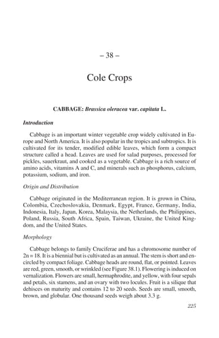 – 38 –

                              Cole Crops


              CABBAGE: Brassica oleracea var. capitata L.

Introduction

   Cabbage is an important winter vegetable crop widely cultivated in Eu-
rope and North America. It is also popular in the tropics and subtropics. It is
cultivated for its tender, modified edible leaves, which form a compact
structure called a head. Leaves are used for salad purposes, processed for
pickles, sauerkraut, and cooked as a vegetable. Cabbage is a rich source of
amino acids, vitamins A and C, and minerals such as phosphorus, calcium,
potassium, sodium, and iron.

Origin and Distribution

   Cabbage originated in the Mediterranean region. It is grown in China,
Colombia, Czechoslovakia, Denmark, Egypt, France, Germany, India,
Indonesia, Italy, Japan, Korea, Malaysia, the Netherlands, the Philippines,
Poland, Russia, South Africa, Spain, Taiwan, Ukraine, the United King-
dom, and the United States.

Morphology

   Cabbage belongs to family Cruciferae and has a chromosome number of
2n = 18. It is a biennial but is cultivated as an annual. The stem is short and en-
circled by compact foliage. Cabbage heads are round, flat, or pointed. Leaves
are red, green, smooth, or wrinkled (see Figure 38.1). Flowering is induced on
vernalization. Flowers are small, hermaphrodite, and yellow, with four sepals
and petals, six stamens, and an ovary with two locules. Fruit is a silique that
dehisces on maturity and contains 12 to 20 seeds. Seeds are small, smooth,
brown, and globular. One thousand seeds weigh about 3.3 g.
 