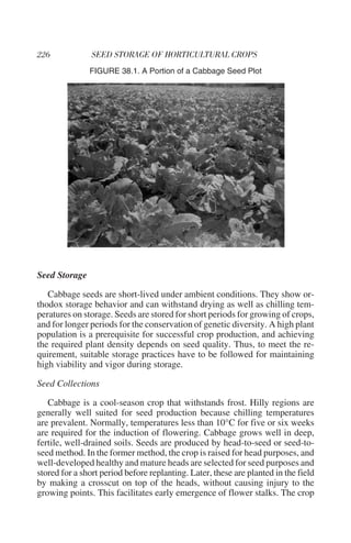 FIGURE 38.1. A Portion of a Cabbage Seed Plot




Seed Storage

   Cabbage seeds are short-lived under ambient conditions. They show or-
thodox storage behavior and can withstand drying as well as chilling tem-
peratures on storage. Seeds are stored for short periods for growing of crops,
and for longer periods for the conservation of genetic diversity. A high plant
population is a prerequisite for successful crop production, and achieving
the required plant density depends on seed quality. Thus, to meet the re-
quirement, suitable storage practices have to be followed for maintaining
high viability and vigor during storage.

Seed Collections

   Cabbage is a cool-season crop that withstands frost. Hilly regions are
generally well suited for seed production because chilling temperatures
are prevalent. Normally, temperatures less than 10°C for five or six weeks
are required for the induction of flowering. Cabbage grows well in deep,
fertile, well-drained soils. Seeds are produced by head-to-seed or seed-to-
seed method. In the former method, the crop is raised for head purposes, and
well-developed healthy and mature heads are selected for seed purposes and
stored for a short period before replanting. Later, these are planted in the field
by making a crosscut on top of the heads, without causing injury to the
growing points. This facilitates early emergence of flower stalks. The crop
 