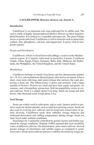 CAULIFLOWER: Brassica oleracea var. botrytis L.

Introduction

   Cauliflower is an important cole crop cultivated for its edible curd. The
curd is made of highly metamorphosed abortive flowers on thick hypertro-
phied branches. It is cooked as a vegetable and eaten raw. The green foliage
serves as good cattle feed. Cauliflower is rich in minerals such as potassium,
sodium, iron, phosphorus, calcium, and magnesium. It grows well in tem-
perate regions.

Origin and Distribution

   Cauliflower, which evolved from wild cabbage, is native to the Mediter-
ranean region. It is largely cultivated in Australia, Canada, Caribbean
islands, China, Egypt, France, Germany, India, Italy, Malaysia, the Nether-
lands, the Philippines, the United Kingdom, and the United States.

Morphology

   Cauliflower belongs to family Cruciferae and has chromosome number
2n = 18. It is a dicotyledonous biennial plant cultivated as an annual. It has a
short, stout stem with long, dark green foliage that encloses the curd, pro-
tecting it from sun. The inflorescence is dense and terminal, with a large
number of flowers. Flowers are small and have four sepals and petals, six
stamens, and a bicarpellary gynoecium. Self-incompatibility exists in cer-
tain cultivars. Fruit is a silique about 8 cm long. Seeds are round and dark
brown. One thousand seeds weigh about 2.8 g.

Seed Storage

   Seeds are widely used in cultivation, and as such, farmers prefer to pre-
serve seeds for shorter periods, such as until next growing season. Seeds are
also used in evolving new cultivars and for long-term conservation of ge-
netic diversity. Cauliflower seeds show orthodox storage behavior and
withstand desiccation and chilling temperatures during storage. Seeds are
short-lived under ambient conditions.
   Seed longevity is primarily controlled by genetic factors and further reg-
ulated by storage conditions. Doijode (1989) reported that seed storability
varies in different cultivars. On deterioration, poor-storer cultivars showed
greater leakage of electrolytes and soluble sugars as compared to good-
storer ones. Good-storer cultivars preserve viability for relatively longer pe-
 