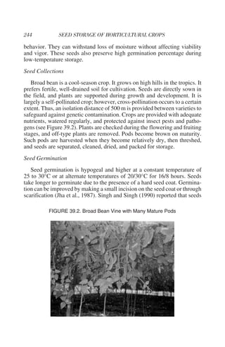 behavior. They can withstand loss of moisture without affecting viability
and vigor. These seeds also preserve high germination percentage during
low-temperature storage.
Seed Collections
   Broad bean is a cool-season crop. It grows on high hills in the tropics. It
prefers fertile, well-drained soil for cultivation. Seeds are directly sown in
the field, and plants are supported during growth and development. It is
largely a self-pollinated crop; however, cross-pollination occurs to a certain
extent. Thus, an isolation distance of 500 m is provided between varieties to
safeguard against genetic contamination. Crops are provided with adequate
nutrients, watered regularly, and protected against insect pests and patho-
gens (see Figure 39.2). Plants are checked during the flowering and fruiting
stages, and off-type plants are removed. Pods become brown on maturity.
Such pods are harvested when they become relatively dry, then threshed,
and seeds are separated, cleaned, dried, and packed for storage.
Seed Germination
   Seed germination is hypogeal and higher at a constant temperature of
25 to 30°C or at alternate temperatures of 20/30°C for 16/8 hours. Seeds
take longer to germinate due to the presence of a hard seed coat. Germina-
tion can be improved by making a small incision on the seed coat or through
scarification (Jha et al., 1987). Singh and Singh (1990) reported that seeds

           FIGURE 39.2. Broad Bean Vine with Many Mature Pods
 
