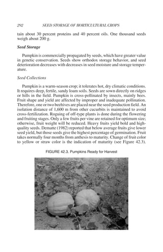 tain about 30 percent proteins and 40 percent oils. One thousand seeds
weigh about 200 g.
Seed Storage
   Pumpkin is commercially propagated by seeds, which have greater value
in genetic conservation. Seeds show orthodox storage behavior, and seed
deterioration decreases with decreases in seed moisture and storage temper-
ature.
Seed Collections
    Pumpkin is a warm-season crop; it tolerates hot, dry climatic conditions.
It requires deep, fertile, sandy loam soils. Seeds are sown directly on ridges
or hills in the field. Pumpkin is cross-pollinated by insects, mainly bees.
Fruit shape and yield are affected by improper and inadequate pollination.
Therefore, one or two beehives are placed near the seed production field. An
isolation distance of 1,600 m from other cucurbits is maintained to avoid
cross-fertilization. Roguing of off-type plants is done during the flowering
and fruiting stages. Only a few fruits per vine are retained for optimum size;
otherwise, fruit weight will be reduced. Heavy fruits yield bold and high-
quality seeds. Dematte (1982) reported that below average fruits give lower
seed yield, but those seeds give the highest percentage of germination. Fruit
takes normally four months from anthesis to maturity. Change of fruit color
to yellow or straw color is the indication of maturity (see Figure 42.3).

                 FIGURE 42.3. Pumpkins Ready for Harvest
 