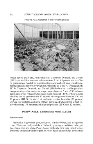 FIGURE 43.2. Gerberas in the Flowering Stage




longer period under dry, cool conditions. Carpenter, Ostmark, and Cornell
(1995) reported that moisture reduction from 7.1 to 3.5 percent had no effect
on germination. Seeds lose viability after nine months of storage under am-
bient conditions but preserve well for 30 months at –5 to 5°C (Franceschetti,
1973). Carpenter, Ostmark, and Cornell (1995) observed similar germina-
tion percentage after storage at temperatures between 5 and –5°C, whereas
germination was reduced when seeds were stored at –10°C or below. Seed
viability can be preserved for 12 months at storage conditions of 5°C and
32 percent RH. Seeds stored at moderate relative humidity (52 percent)
showed low viability, and none of them germinated when stored at high rel-
ative humidity (75 percent) and high temperature (25°C) for 12 months.

             PERIWINKLE: Catharanthus roseus (L.) Don

Introduction

   Periwinkle is grown in pots, rockeries, window boxes, and as a ground
cover. Plants are bushy and dwarf in habit, growing up to 60 cm in height.
Leaves are oval and shiny. Plants flower profusely for a long time. Flowers
are round or flat and white or pink in color. Seeds and cuttings are used for
 