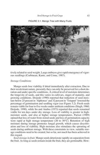 FIGURE 3.1. Mango Tree with Many Fruits




tively related to seed weight. Large embryos give rapid emergence of vigor-
ous seedlings (Corbineau, Kante, and Come, 1987).

Storage Conditions

   Mango seeds lose viability if dried immediately after extraction. Due to
their recalcitrant nature, presently they can only be preserved for a short du-
ration and under specific conditions. A critical level of moisture determines
the longevity of seeds, and this varies in cultivars, stages of maturity, and
growing conditions. Doijode (1990) reported that reduction of seed mois-
ture below 25 percent in ‘Alphonso’ and 32 percent in ‘Totapuri’ lowered the
percentage of germination and seedling vigor (see Figure 3.2). Fresh seeds
remain viable for four to five weeks under ambient conditions (Singh, 1960;
Doijode, 1990), while Ito and Atubra (1973) reported that seeds remained
viable for ten days under dry storage. Loss of viability is greater in high-
moisture seeds, and also at higher storage temperatures. Parisot (1989)
opined that loss of water from stored seeds and loss of germination capacity
were rapid at high storage temperature (20 to 30°C). Retention of high
moisture during storage promotes fungal growth, which causes discolor-
ation and loss of viability. High moisture also stimulates the sprouting of
seeds during ambient storage. With these constraints in view, suitable stor-
age conditions need to be created, but so far, not much has been achieved in
this regard.
   Seed storage in fruit. Mango seeds deteriorate rapidly on separation from
the fruit. As long as seeds remain inside the fruit, they are germinable. How-
 