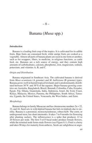 –8–

                     Banana (Musa spp.)

Introduction

   Banana is a leading fruit crop of the tropics. It is cultivated for its edible
fruits. Ripe fruits are consumed fresh, while unripe fruits are cooked as a
vegetable. Almost all parts of banana plants are used in one form or another,
such as for wrappers, fibers, in medicine, in religious functions, as cattle
feed, etc. Bananas are a rich source of energy, and they contain high
amounts of carbohydrates, calcium, phosphorus, iron, magnesium, sodium,
potassium, and vitamins A, B, and C.

Origin and Distribution

    Banana originated in Southeast Asia. The cultivated banana is derived
from Musa acuminata (A genome) and M. bulbisiana (B genome) types.
Banana grows well in humid tropical lowlands and is predominantly distrib-
uted between 30°N and 30°S of the equator. Major banana-growing coun-
tries are Australia, Bangladesh, Brazil, Burundi, Colombia, Cuba, Ecuador,
Egypt, Fiji, Ghana, Guatemala, India, Indonesia, Israel, the Ivory Coast,
Kenya, Malaysia, Mexico, Panama, the Philippines, South Africa, Tanza-
nia, Uganda, the United States, Venezuela, the West Indies, and Zaire.

Morphology

    Banana belongs to family Musaceae and has chromosome numbers 2n = 22,
33, and 44. Seed sets in wild diploid banana but fails in triploids due to ste-
rility. Banana is a perennial, monocotyledonous, robust herb. The corm, or
underground stem, has short internodes. It takes 7 to 9 months for flowering
after planting suckers. The inflorescence is a spike that produces 12 to
20 flowers per node. The first 5 to15 basal nodes produce female flowers,
while the terminal node forms male flowers (see Figure 8.1). Fruit is a berry
and takes 90 days for maturity from anthesis. Seeds are subglobose or angu-
 