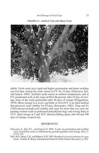 FIGURE 9.1. Jackfruit Tree with Many Fruits




ability. Fresh seeds gave rapid and higher germination and better seedling
survival than sowing the seeds stored at 6°C for 15 days (Chiesotsu, Kar,
and Sanyal, 1995). Jackfruit seeds stored at ambient temperatures and at
6°C germinated well, in the range of 80 to 86 percent, after 22 days of stor-
age; none of the seeds germinated after 38 days of storage (Panggabean,
1979). Moist storage in a screw cap bottle at 16 to18°C is an ideal method
that preserves seed viability for 45 days (Fernandez, 1982). Tang and Fu
(1993) preserved high seed viability and vigor for more than two years by
packing washed seeds in perforated polyethylene bags and storing them at
15°C. Seed storage at 5 and 10°C showed chilling injury after 40 and 300
days of storage, respectively.

                                 REFERENCES
Chiesotsu, S., Kar, P.L., and Sanyal, D. 1995. A note on germination and seedling
    vigor of jackfruit seeds as influenced by growth regulators and storage. Hort. J.
    8:151-155.
Ellis, R.H., Hong, T.D., and Roberts, E.H. 1985. Handbook of seed technology for gene
    banks, Volume II. Rome: International Board for Plant Genetic Resources, p. 502.
 