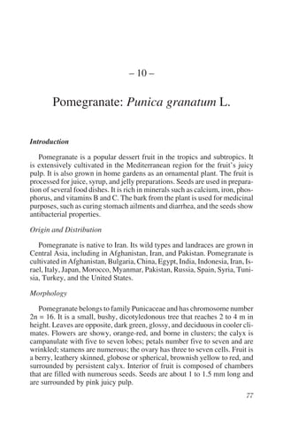 – 10 –

        Pomegranate: Punica granatum L.

Introduction

   Pomegranate is a popular dessert fruit in the tropics and subtropics. It
is extensively cultivated in the Mediterranean region for the fruit’s juicy
pulp. It is also grown in home gardens as an ornamental plant. The fruit is
processed for juice, syrup, and jelly preparations. Seeds are used in prepara-
tion of several food dishes. It is rich in minerals such as calcium, iron, phos-
phorus, and vitamins B and C. The bark from the plant is used for medicinal
purposes, such as curing stomach ailments and diarrhea, and the seeds show
antibacterial properties.

Origin and Distribution

   Pomegranate is native to Iran. Its wild types and landraces are grown in
Central Asia, including in Afghanistan, Iran, and Pakistan. Pomegranate is
cultivated in Afghanistan, Bulgaria, China, Egypt, India, Indonesia, Iran, Is-
rael, Italy, Japan, Morocco, Myanmar, Pakistan, Russia, Spain, Syria, Tuni-
sia, Turkey, and the United States.

Morphology

   Pomegranate belongs to family Punicaceae and has chromosome number
2n = 16. It is a small, bushy, dicotyledonous tree that reaches 2 to 4 m in
height. Leaves are opposite, dark green, glossy, and deciduous in cooler cli-
mates. Flowers are showy, orange-red, and borne in clusters; the calyx is
campanulate with five to seven lobes; petals number five to seven and are
wrinkled; stamens are numerous; the ovary has three to seven cells. Fruit is
a berry, leathery skinned, globose or spherical, brownish yellow to red, and
surrounded by persistent calyx. Interior of fruit is composed of chambers
that are filled with numerous seeds. Seeds are about 1 to 1.5 mm long and
are surrounded by pink juicy pulp.
 