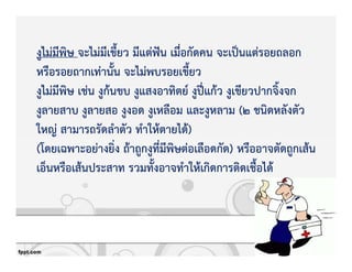 งูไมZมีพิษ จะไมZมีเขี้ยว มีแตZฟgน เมื่อกัดคน จะเปpนแตZรอยถลอก
หรือรอยถากเทZานั้น จะไมZพบรอยเขี้ยว
งูไมZมีพิษ เชZน งูกKนขบ งูแสงอาทิตย+ งูปƒ„แกKว งูเขียวปากจิ้งจก
งูลายสาบ งูลายสอ งูงอด งูเหลือม และงูหลาม (2 ชนิดหลังตัว
ใหญZ สามารถรัดลําตัว ทําใหKตายไดK)
(โดยเฉพาะอยZางยิ่ง ถKาถูกงูที่มีพิษตZอเลือดกัด) หรืออาจตัดถูกเสKน
เอ็นหรือเสKนประสาท รวมทั้งอาจทําใหKเกิดการติดเชื้อไดK
 