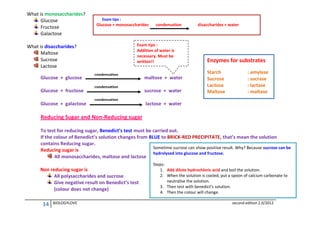 What is monosaccharides?
Glucose
Fructose
Galactose

Exam tips :

Glucose + monosaccharides

Exam tips :
Addition of water is
necessary. Must be
written!!

What is disaccharides?
Maltose
Sucrose
Lactose
Glucose + glucose
Glucose + fructose
Glucose + galactose

condensation

condensation
condensation
condensation

maltose + water
sucrose + water

disaccharides + water

Enzymes for substrates
Starch
Sucrose
Lactose
Maltose

: amylase
: sucrase
: lactase
: maltase

lactose + water

Reducing Sugar and Non-Reducing sugar
To test for reducing sugar, Benedict’s test must be carried out.
If the colour of Benedict’s solution changes from BLUE to BRICK-RED PRECIPITATE, that’s mean the solution
contains Reducing sugar.
Sometime sucrose can show positive result. Why? Because sucrose can be
Reducing sugar is
hydrolysed into glucose and fructose.
All monosaccharides, maltose and lactose
Non reducing sugar is
All polysaccharides and sucrose
Give negative result on Benedict’s test
(colour does not change)

14

BIOLOGYLOVE

Steps:
1. Add dilute hydrochloric acid and boil the solution.
2. When the solution is cooled, put a spoon of calcium carbonate to
neutralise the solution.
3. Then test with benedict’s solution.
4. Then the colour will change.
second edition 2.0/2012

 