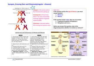 Synapsis, Crossing Over and Chiasmata(singular : chiasma)
Synapsis is the process where
the chromosomes pairing up
Crossing over is the process
where non sister chromatids
exchange segment of genetic
material (DNA)
Chiasmata is the point where
the crossing over process occur

21

BIOLOGYLOVE

Exam tips :
If the question ask for the type of division, you must
answer whether
1. Mitosis or
2. Meiosis
If the question ask for stage, then you can answer
1. Prophase//Prophase I//Prophase II
2. Metaphase and so on.....
Before you answer the question, look at the
diagram//question whether it is mitosis or meiosis!!!

second edition 2.0/2012

 