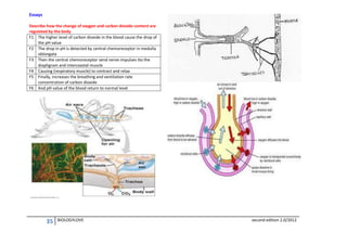 Essays
Describe how the change of oxygen and carbon dioxide content are
regulated by the body
F1 The higher level of carbon dioxide in the blood cause the drop of
the pH value
F2 The drop in pH is detected by central chemoreceptor in medulla
oblongata
F3 Then the central chemoreceptor send nerve impulses tto the
diaphgram and intercoastal muscle
F4 Causing (respiratory muscle) to contract and relax
F5 Finally, increases the breathing and ventilation rate
concentration of carbon dioxide
F6 And pH value of the blood return to normal level

35

BIOLOGYLOVE

second edition 2.0/2012

 