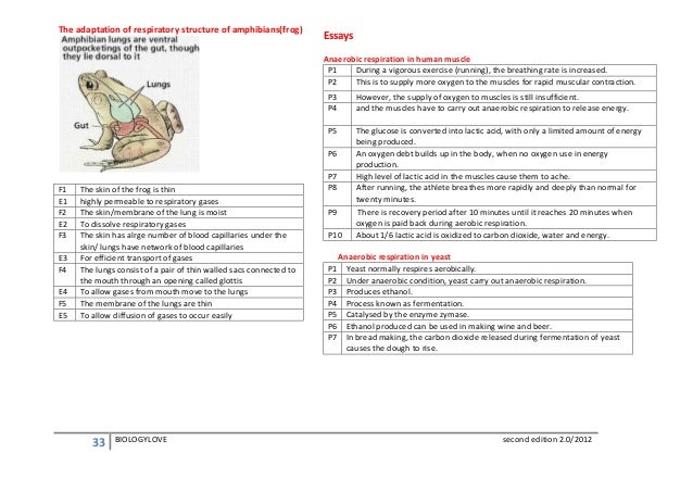 Sample Essay on Enzyme Inhibitor EssayHomworkHelp org