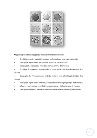 A figura representa os estágios do desenvolvimento embrionário:


O estágio A mostra o oócito II antes de ser fecundando pelo espermatozóide;



O estágio B representa o oócito II que acabou de ser fertilizado.



No estágio C percebe-se o início do desenvolvimento do embrião;



O estágio D representa um embrião 24 horas após a fertilização (estágio de 2

células);


Os estágios E e F representam o embrião 48 horas após a fertilização (estágio de 4

células);


O estágio G representa o embrião 72 horas após a fertilização (estágio de 8 células);



A figura H representa o embrião já compactado, no estado chamado de mórula;



O estágio I representa o embrião no quinto dia de desenvolvimento (blastocisto).

15

 