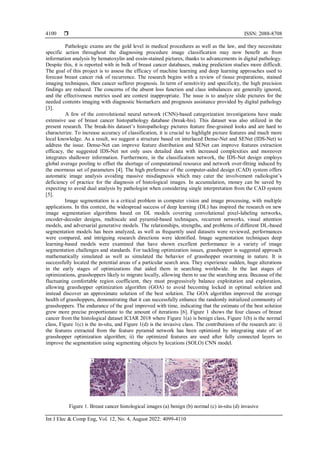 Breast cancer histological images nuclei segmentation and optimized ...