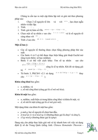 75291064 rsa-co-ban | PDF