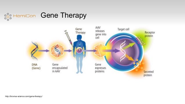 hemophilia B (All Slides)