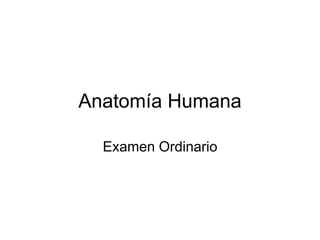 Anatomía Humana 
Examen Ordinario  