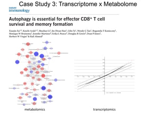 CD8+ T cells provide protection against intracellular bacterial, para-
sitic and viral infections, as well as cancers1,2. Following stimulation
with antigens, naive CD8+ T cells go through many rounds of prolif-
eration, giving rise to effector T cells, which eliminate infected cells.
Upon clearance of the antigens, most effector CD8+ T cells undergo
apoptosis, leaving only a small pool of cells to survive and differenti-
ate into memory cells3–5. During this naive-to-effector to memory-
differentiation process, T cells undergo cellular and metabolic
reprogramming to shift from anabolic processes and proliferation to
catabolic processes and contraction of cell populations to generate
memory. It is important to define the role of macroautophagy (called
‘autophagy’ here) during this process.
Autophagy is an evolutionarily conserved process that involves the
engulfment and delivery of cytosolic contents to the lysosome for
degradation6–10. This catabolic activity of autophagy is essential for
cellular homeostasis and has been suggested to be inversely correlated
with cell growth and proliferation11. In contrast to that paradigm,
it has been reported that autophagy is upregulated in proliferating
T cells9,12,13. Stimulation via the T cell antigen receptor (TCR) pro-
motes the activation and proliferation of T cells and also induces
signaling via the metabolic checkpoint kinase mTOR, which would
be expected to inhibit rather than induce autophagy8. Thus, questions
remain about why and how proliferating T cells upregulate autophagy
T cells after stimulation via the TCR, little is known about in vivo
autophagy activity in antigen-specific T cells during the course of the
differentiation of effector and memory T cells after viral infection.
The in vivo function of autophagy in antigen-specific T cells during
viral infection remains unclear but is important, as pharmacological
manipulation of autophagy is being considered as a treatment for
many human diseases14. Mice with a conditional null mutation result-
ing in selective deletion of the gene encoding either of the autophagy-
related molecules Atg5 or Atg7 during early T cell development
(through the use of Cre recombinase expressed from T cell–specific
gene Lck) have fewer mature peripheral T cells than their wild-type
counterparts have10,15. Similarly, chimeric mice reconstituted with
Atg5−/− fetal liver cells have fewer peripheral T cells than do chi-
meric mice reconstituted with wild-type fetal liver cells9. That study
also showed that Atg5-deficient T cells exhibit diminished prolifera-
tive capacity following in vitro stimulation via the TCR9. Although
such data indicate that autophagy has a key role in the development
and homeostasis of T cells, they shed less light on the function of
autophagy molecules in T cells responding to antigen because the cells
studied had developed in the absence of autophagy molecules such
as Atg5 or Atg7 and exhibited abnormalities in gene expression and
mitochondrial number and function10,15. Thus, a new approach using
phenotypically normal naive T cells is needed to study the function
Autophagy is essential for effector CD8+ T cell
survival and memory formation
Xiaojin Xu1,5, Koichi Araki1,5, Shuzhao Li2, Jin-Hwan Han1, Lilin Ye1, Wendy G Tan1, Bogumila T Konieczny1,
Monique W Bruinsma3, Jennifer Martinez4, Erika L Pearce3, Douglas R Green4, Dean P Jones2,
Herbert W Virgin3 & Rafi Ahmed1
The importance of autophagy in the generation of memory CD8+ T cells in vivo is not well defined. We report here that autophagy
was dynamically regulated in virus-specific CD8+ T cells during acute infection of mice with lymphocytic choriomeningitis
virus. In contrast to the current paradigm, autophagy decreased in activated proliferating effector CD8+ T cells and was then
upregulated when the cells stopped dividing just before the contraction phase. Consistent with those findings, deletion of the
gene encoding either of the autophagy-related molecules Atg5 or Atg7 had little to no effect on the proliferation and function of
effector cells, but these autophagy-deficient effector cells had survival defects that resulted in compromised formation of memory
T cells. Our studies define when autophagy is needed during effector and memory differentiation and warrant reexamination of
the relationship between T cell activation and autophagy.
A RT I C L E S
CD8+ T cells provide protection against intracellular bacterial, para-
sitic and viral infections, as well as cancers1,2. Following stimulation
with antigens, naive CD8+ T cells go through many rounds of prolif-
eration, giving rise to effector T cells, which eliminate infected cells.
Upon clearance of the antigens, most effector CD8+ T cells undergo
apoptosis, leaving only a small pool of cells to survive and differenti-
ate into memory cells3–5. During this naive-to-effector to memory-
differentiation process, T cells undergo cellular and metabolic
reprogramming to shift from anabolic processes and proliferation to
catabolic processes and contraction of cell populations to generate
memory. It is important to define the role of macroautophagy (called
‘autophagy’ here) during this process.
Autophagy is an evolutionarily conserved process that involves the
engulfment and delivery of cytosolic contents to the lysosome for
degradation6–10. This catabolic activity of autophagy is essential for
cellular homeostasis and has been suggested to be inversely correlated
with cell growth and proliferation11. In contrast to that paradigm,
T cells after stimulation via the TCR, little is known about in vivo
autophagy activity in antigen-specific T cells during the course of the
differentiation of effector and memory T cells after viral infection.
The in vivo function of autophagy in antigen-specific T cells during
viral infection remains unclear but is important, as pharmacological
manipulation of autophagy is being considered as a treatment for
many human diseases14. Mice with a conditional null mutation result-
ing in selective deletion of the gene encoding either of the autophagy-
related molecules Atg5 or Atg7 during early T cell development
(through the use of Cre recombinase expressed from T cell–specific
gene Lck) have fewer mature peripheral T cells than their wild-type
counterparts have10,15. Similarly, chimeric mice reconstituted with
Atg5−/− fetal liver cells have fewer peripheral T cells than do chi-
meric mice reconstituted with wild-type fetal liver cells9. That study
also showed that Atg5-deficient T cells exhibit diminished prolifera-
tive capacity following in vitro stimulation via the TCR9. Although
such data indicate that autophagy has a key role in the development
Autophagy is essential for effector CD8+ T cell
survival and memory formation
Xiaojin Xu1,5, Koichi Araki1,5, Shuzhao Li2, Jin-Hwan Han1, Lilin Ye1, Wendy G Tan1, Bogumila T Konieczny1,
Monique W Bruinsma3, Jennifer Martinez4, Erika L Pearce3, Douglas R Green4, Dean P Jones2,
Herbert W Virgin3 & Rafi Ahmed1
The importance of autophagy in the generation of memory CD8+ T cells in vivo is not well defined. We report here that autophagy
was dynamically regulated in virus-specific CD8+ T cells during acute infection of mice with lymphocytic choriomeningitis
virus. In contrast to the current paradigm, autophagy decreased in activated proliferating effector CD8+ T cells and was then
upregulated when the cells stopped dividing just before the contraction phase. Consistent with those findings, deletion of the
gene encoding either of the autophagy-related molecules Atg5 or Atg7 had little to no effect on the proliferation and function of
effector cells, but these autophagy-deficient effector cells had survival defects that resulted in compromised formation of memory
T cells. Our studies define when autophagy is needed during effector and memory differentiation and warrant reexamination of
the relationship between T cell activation and autophagy.
metabolomics	 transcriptomics	
Case Study 3: Transcriptome x Metabolome
 