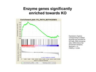 Enzyme genes significantly
enriched towards KO
Expression of genes
corresponding to related
enzymes are enriched for
KO cells, DNA microarray
data, GSEA (Gene Set
Enrichment Analysis).
Nominal p = 0,
FWER p = 0.024.
 
