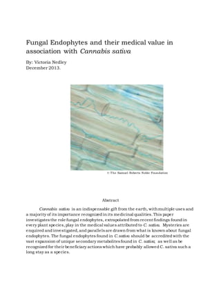 Fungal Endophytes and their medical value in
association with Cannabis sativa
By: Victoria Nedley
December 2013.
© The Samuel Roberts Noble Foundation
Abstract
Cannabis sativa is an indispensable gift from the earth, withmultiple uses and
a majority of its importance recognized in its medicinal qualities.This paper
investigates the role fungal endophytes, extrapolated from recent findings found in
every plant species,play in the medical values attributed to C. sativa. Mysteries are
enquired and investigated,and parallelsare drawn from what is known about fungal
endophytes. The fungal endophytes found in C.sativa should be accredited with the
vast expansion of unique secondary metabolitesfound in C. sativa; as well as be
recognized for their beneficiary actionswhich have probably allowed C. sativa such a
long stay as a species.
 