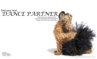 1729 Willey Ave Cleveland, OH (216) 771-4616
DANCE PARTNER
find your next
Adopt your next dance partner
from the Cleveland Animal Protective
League and create your own ballet
 