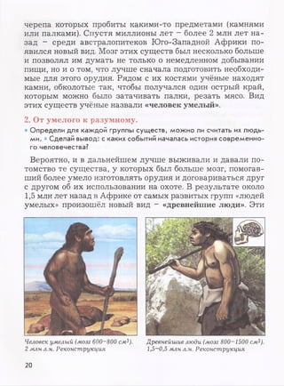 черепа которых пробиты какими-то предметами (камнями
или палками). Спустя миллионы лет - более 2 млн лет на­
зад - среди австралопитеков Юго-Западной Африки по­
явился новый вид. Мозг этих существ был несколько больше
и позволял им думать не только о немедленном добывании
пищи, но и о том, что лучше сначала подготовить необходи­
мые для этого орудия. Рядом с их костями учёные находят
камни, обколотые так, чтобы получался один острый край,
которым можно было затачивать палки, резать мясо. Вид
этих существ учёные назвали «человек умелый».
2. От умелого к разумному.
• Определи для каждой группы существ, можно ли считать их людь­
ми. • Сделай вывод: с каких событий началась история современно­
го человечества?
Вероятно, и в дальнейшем лучше выживали и давали по­
томство те существа, у которых был больше мозг, помогав­
ший более умело изготовлять орудия и договариваться друг
с другом об их использовании на охоте. В результате около
1,5 млн лет назад в Африке от самых развитых групп «людей
умелых» произошёл новый вид - «древнейшие люди». Эти
Человек умелый (мозг 600S00 см3). Древнейшие люди (мозг 800-1500 см3).
2 млн л.н. Реконструкция 1,5—0,5 млн л.н. Реконструкция
20
 