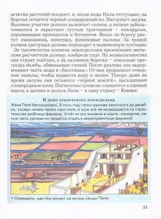 остатки растений оседают, и, когда воды Нила отступают, на
берегах остаётся чёрный плодородный ил. Наступает засуха.
Высокие участки долины выжигает солнце, а низкие забола­
чиваются и зарастают густым тростником - папирусом,
скрывающим крокодилов и бегемотов. Выше по берегу рас­
тут смоковница, виноград, финиковые пальмы. За грядой
холмов цветущая долина переходит в выжженную пустыню.
За тысячелетия племена земледельцев кремнёвыми моты­
гами расчистили долину, изобрели плуг. На возвышенностях
они строят посёлки, а на заливных берегах - земляные пре­
грады-бомбы, обмазанные глиной. После разлива они задер­
живают часть воды в «бассейнах». От них прорывают отвод­
ные каналы, чтобы подвести воду к полям. Теперь даже во
время засухи они остаются «чёрной землёй», насыщенной
плодородным илом. Постепенно племена сливаются в единый
народ, а долина и дельта Нила - в одну страну - Египет.
В доме египетского земледельца
Жена Пепе беспокоилась. В этом году сезон разлива закончился до декаб­
ря, соседи начали пахать свои поля, а муж всё не возвращается со строи­
тельства гробницы фараона. Учтёт ли это чиновник вмарте, определяя, ка­
кую часть урожая им придётся отдать взернохранилище фараона?
• Определи, как Нил влияет на жизнь семьи Пепе.
53
 
