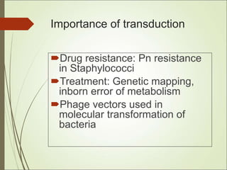 Inborn Vector 756_Bacterial_Genetics.ppt