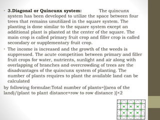Quincunx System.drawing Unit Competency 1. (Plant Crops Operation?) | PDF