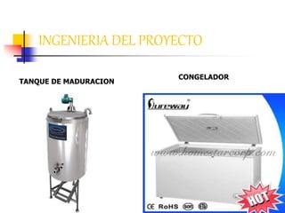 47
TANQUE DE MADURACION
CONGELADOR
INGENIERIA DEL PROYECTO
 