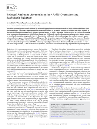 Reduced Antimony Accumulation in ARM58-Overexpressing
Leishmania infantum
Carola Schäfer,* Paloma Tejera Nevado, Dorothea Zander, Joachim Clos
Bernhard Nocht Institute for Tropical Medicine, Hamburg, Germany
Antimony-based drugs are still the mainstay of chemotherapy against Leishmania infections in many countries where the para-
sites are endemic. The efﬁcacy of antimonials has been compromised by increasing numbers of resistant infections, the basis of
which is not fully understood and likely involves multiple factors. By using a functional cloning strategy, we recently identiﬁed a
novel antimony resistance marker, ARM58, from the parasite Leishmania braziliensis that protects the parasites against antimo-
ny-based antileishmanial compounds. Here we show that the Leishmania infantum homologue also confers resistance against
antimony but not against other antileishmanial drugs and that its function depends critically on one of four conserved domains
of unknown function. This critical domain requires at least two hydrophobic amino acids and is predicted to form a transmem-
brane structure. Overexpression of ARM58 in antimony-exposed parasites reduces the intracellular Sb accumulation by over
70%, indicating a role for ARM58 in Sb extrusion pathways, but without involvement of energy-dependent transporter proteins.
Infections with protozoan parasites are among the most im-
portant neglected tropical diseases. In particular, this is true
for infections with protists from the order Kinetoplastida,
which belongs to the Euglenozoa, an early branch of the Eu-
karyota that is characterized by molecular features such as trans-
splicing, RNA editing, and a largely unregulated, polycistronic
RNA synthesis (1). The human-pathogenic kinetoplastid proto-
zoa all belong to the family Trypanosomatidae, which includes the
genera Trypanosoma and Leishmania. The former cause human
and cattle sleeping sickness in Africa as well as Chagas disease in
South America. Species of the latter are responsible for the various
forms of leishmaniasis, with over 2 million new cases per year in 88
countries (2).
The most severe form of leishmaniasis, visceral leishmaniasis
(VL; also called kala-azar), is lethal if left untreated or if the treat-
ment fails. Since no safe and effective vaccine is available, and
since the rate of transmission remains high, monitoring and che-
motherapy are the sole control measures available.
The most common treatment of leishmaniasis and also the
most affordable option are drugs based on pentavalent antimony
(SbV
). Although they have been in use for over 60 years, their exact
mode of action is not clear. What has become clear is that SbV
is a
prodrug and requires reduction to SbIII
(3–5). This reduction may
take place inside the host cell, usually antigen-presenting cells
such as macrophages and monocytes, where the parasites reside
inside the phagosomes. The intracellular parasites, known as
amastigotes, can also reduce SbV
to SbIII
. By contrast, the ﬂagel-
lated, arthropod-borne form, the promastigote, is impervious to
SbV
, since it cannot reduce the prodrug to SbIII
. SbIII
is toxic to
promastigotes and amastigotes but also to mammalian cells and
tissues, thus precluding its direct use as a drug.
Over the last 3 decades, a large percentage (Ͼ60%) of Leishma-
nia infections in northern India and adjacent regions have become
resistant to SbV
-based drugs (6–9). Alternative drugs approved for
treatment either are too expensive for the health services or come
with severe side effects and risk factors (6, 10–13). Antimony
treatment itself is associated with cardiotoxicity, in particular
when repeated treatment courses and high doses are required due
to primary-treatment failure.
Therefore, efforts have been made to unravel the molecular
basis of antimony drug resistance by comparing drug-sensitive
and -resistant ﬁeld isolates and laboratory strains. Features such as
increased levels of trypanothione (14) and P-glycoproteins, which
can act as extrusion pumps (15, 16), were linked to SbIII
resistance.
Conversely, reduced levels of aquaglyceroporin, which is involved
in Sb uptake, correlate with resistance (17). Another resistance
mechanism operates on the host cell level. Leishmania donovani
isolates with no intrinsic Sb resistance were shown to induce host
cell extrusion pathways (18, 19).
The feature of drug resistance also lends itself very well to un-
biased screening strategies such as functional cloning, whereby a
genomic DNA library in a shuttle cosmid vector is transfected into
drug-sensitive parasites that are then challenged with the drug.
Only those parasites carrying cosmids with dominant drug resis-
tance markers will survive the challenge and grow under selection.
Recovering and analyzing the cosmids within the surviving para-
sites will then make it possible to identify resistance marker genes
(20). This approach has already been used to identify novel mark-
ers of resistance against antimonials and other antileishmanial
compounds (21, 22).
By its nature, the functional cloning approach is bound to
identify genetic markers with suspected functionality (21, 23, 24)
but also genes coding for hypothetical proteins without suspected
function and deﬁned functional domains (22, 25). In the latter
case, the function of the gene product and its link to drug resis-
tance must be established to understand the role of the marker.
Using a functional complementation screen approach, we re-
Received 28 August 2013 Returned for modiﬁcation 27 October 2013
Accepted 16 December 2013
Published ahead of print 23 December 2013
Address correspondence to Joachim Clos, clos@bnitm.de.
* Present address: Carola Schäfer, Department of Virology and Cell Biology,
Heinrich Pette Institute for Experimental Virology, Hamburg, Germany.
Copyright © 2014, American Society for Microbiology. All Rights Reserved.
doi:10.1128/AAC.01881-13
March 2014 Volume 58 Number 3 Antimicrobial Agents and Chemotherapy p. 1565–1574 aac.asm.org 1565
 