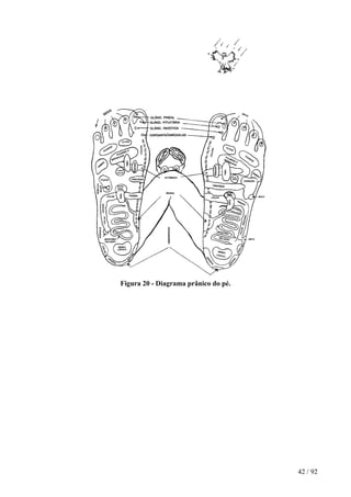 Figura 20 - Diagrama prânico do pé.
42 / 92
 