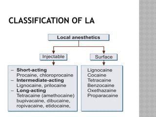 local anesthetics and regional anesthesia | PPTX