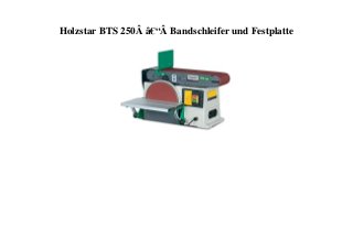 Holzstar BTS 250Â â€“Â Bandschleifer und Festplatte
 