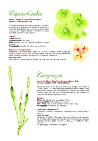 Capuchinha
Nome científico: Tropaeolum majus L
Família: TROPAEOLACEAE
Originária do Peru é uma planta de porte herbáceo,
prostrada e de ciclo perene. O caule é suculento e
retorcido. Suas folhas são verde-claras de formato
arredondado. Possui flores avermelhadas com
manchas escuras no seu interior.
Cultivo
Clima: Quente.
Luminosidade: Sol pleno.
Solo: Aerado rico em matéria orgânica e bem
drenado.
Propagação: Divisão de raízes ou sementes.
Indicações Terapêuticas
Anticaspa, antiescorbútica, digestiva, diurética, expectorante, fungicida,
sedativa, tônica. Usada para falta de apetite, impureza no sangue, escorbuto,
tosse, insônia, retenção de líquidos e problemas digestivos.
Modo de usar
Uso externo - compressa das folhas: na pele para dermatoses e sarna.
Carqueja
Nome científico: Baccharis trimera (Less.) D.C.
Família: ASTERACEAE (COMPOSITAE)
Nativa do Brasil é um arbusto ereto que atinge entre 80cm e
1,2m de altura. As folhas são substituídas por listras aladas, como
membranas verdes, que acompanham as hastes em toda a sua
extensão vertical. As flores amarelas nascem agrupadas em
capítulos, formando pequenas bolas.
Cultivo
Clima: Se adapta bem a qualquer clima.
Luminosidade: Sol moderado a pleno.
Solo: Adapta-se a uma grande variedade de solos.
Propagação: Sementes ou estacas.
Indicações Terapêuticas
É digestiva, diurética, emoliente, hepatoprotetora, hipoglicêmica,
tônica.
Modo de usar
Folhas, por infusão: Inflamação das vias urinárias, má digestão,
má circulação do sangue, icterícia, diabete, febre, anemia, cálculos
biliares, diarréia, gota, intestino e fígado, reumatismo, afta,
faringite.
Em gargarejos: Afecções da garganta.
 