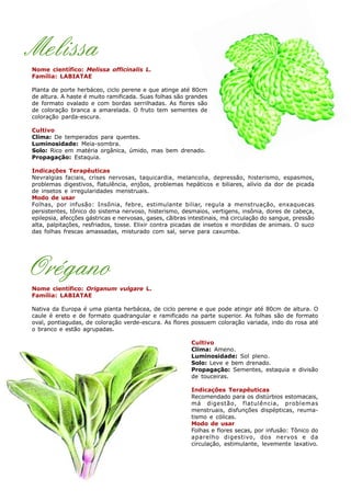 Melissa
Nome científico: Melissa officinalis L.
Família: LABIATAE
Planta de porte herbáceo, ciclo perene e que atinge até 80cm
de altura. A haste é muito ramificada. Suas folhas são grandes
de formato ovalado e com bordas serrilhadas. As flores são
de coloração branca a amarelada. O fruto tem sementes de
coloração parda-escura.
Cultivo
Clima: De temperados para quentes.
Luminosidade: Meia-sombra.
Solo: Rico em matéria orgânica, úmido, mas bem drenado.
Propagação: Estaquia.
Indicações Terapêuticas
Nevralgias faciais, crises nervosas, taquicardia, melancolia, depressão, histerismo, espasmos,
problemas digestivos, flatulência, enjôos, problemas hepáticos e biliares, alívio da dor de picada
de insetos e irregularidades menstruais.
Modo de usar
Folhas, por infusão: Insônia, febre, estimulante biliar, regula a menstruação, enxaquecas
persistentes, tônico do sistema nervoso, histerismo, desmaios, vertigens, insônia, dores de cabeça,
epilepsia, afecções gástricas e nervosas, gases, cãibras intestinais, má circulação do sangue, pressão
alta, palpitações, resfriados, tosse. Elixir contra picadas de insetos e mordidas de animais. O suco
das folhas frescas amassadas, misturado com sal, serve para caxumba.
Orégano
Nome científico: Origanum vulgare L.
Família: LABIATAE
Nativa da Europa é uma planta herbácea, de ciclo perene e que pode atingir até 80cm de altura. O
caule é ereto e de formato quadrangular e ramificado na parte superior. As folhas são de formato
oval, pontiagudas, de coloração verde-escura. As flores possuem coloração variada, indo do rosa até
o branco e estão agrupadas.
Cultivo
Clima: Ameno.
Luminosidade: Sol pleno.
Solo: Leve e bem drenado.
Propagação: Sementes, estaquia e divisão
de touceiras.
Indicações Terapêuticas
Recomendado para os distúrbios estomacais,
má digestão, flatulência, problemas
menstruais, disfunções dispépticas, reuma-
tismo e cólicas.
Modo de usar
Folhas e flores secas, por infusão: Tônico do
aparelho digestivo, dos nervos e da
circulação, estimulante, levemente laxativo.
 