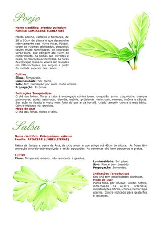 Poejo
Nome científico: Mentha pulegium
Família: LAMIACEAE (LABIATAE)
Planta perene, rasteira e herbácea, de
30 a 50cm de altura e que desenvolve
intensamente seu ritmo foliar. Possui,
sobre os rizomas alongados, pequenos
caules muito ramificados, de coloração
verde-clara, que atingem até 40cm de
comprimento. As folhas são estreitas e
ovais, de coloração acinzentada. As flores
de coloração rósea ou violeta são reunidas
em inflorescências que surgem a partir
da metade superior dos ramos.
Cultivo
Clima: Temperado.
Luminosidade: Sol pleno.
Solo: Tem predileção por solos muito úmidos.
Propagação: Rizomas.
Indicações Terapêuticas
O chá das folhas, flores e talos é empregado contra tosse, rouquidão, asma, coqueluche, doenças
pulmonares, acidez estomacal, diarréia, insônia, problemas menstruais, vermes, insônia e cãibras.
Sua ação no fígado é muito mais forte do que a da hortelã. Usado também contra o mau hálito.
Contra-indicado na gravidez.
Modo de usar
O chá das folhas, flores e talos.
Salsa
Nome científico: Petroselinum sativum
Família: APIACEAE (UMBELLIFERAE)
Nativa da Europa e oeste da Ásia, de ciclo anual e que atinge até 45cm de altura. As flores têm
coloração amarelo-esbranquiçada e estão agrupadas. As sementes são bem pequenas e pretas.
Cultivo
Clima: Temperado ameno; não resistente a geadas.
Luminosidade: Sol pleno.
Solo: Rico e bem drenado.
Propagação: Sementes.
Indicações Terapêuticas
Seu chá tem propriedades diuréticas.
Modo de usar
Planta toda, por infusão: Cistite, nefrite,
inflamação da uretra, icterícia,
menstruações difíceis, cólicas, hemorragia
uterina. Contra-indicado para gestantes
e lactantes.
 