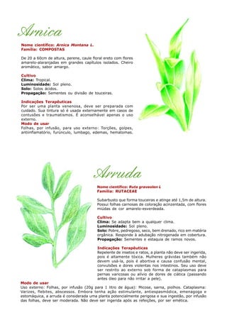 Arnica
Nome científico: Arnica Montana L.
Família: COMPOSTAS
De 20 a 60cm de altura, perene, caule floral ereto com flores
amarelo-alaranjadas em grandes capítulos isolados. Cheiro
aromático, sabor amargo.
Cultivo
Clima: Tropical.
Luminosidade: Sol pleno.
Solo: Solos ácidos.
Propagação: Sementes ou divisão de touceiras.
Indicações Terapêuticas
Por ser uma planta venenosa, deve ser preparada com
cuidado. Sua tintura só é usada externamente em casos de
contusões e traumatismos. É aconselhável apenas o uso
externo.
Modo de usar
Folhas, por infusão, para uso externo: Torções, golpes,
antiinflamatório, furúnculo, lumbago, edemas, hematomas.
Arruda
Nome científico: Ruta graveolen L
Família: RUTACEAE
Subarbusto que forma touceiras e atinge até 1,5m de altura.
Possui folhas carnosas de coloração acinzentada, com flores
miúdas de cor amarelo-esverdeada.
Cultivo
Clima: Se adapta bem a qualquer clima.
Luminosidade: Sol pleno.
Solo: Pobre, pedregoso, seco, bem drenado, rico em matéria
orgânica. Responde à adubação nitrogenada em cobertura.
Propagação: Sementes e estaquia de ramos novos.
Indicações Terapêuticas
Repelente de insetos e ratos, a planta não deve ser ingerida,
pois é altamente tóxica. Mulheres grávidas também não
devem usá-la, pois é abortiva e causa confusão mental,
convulsões e dores violentas nos intestinos. Seu uso deve
ser restrito ao externo sob forma de cataplasmas para
pernas varicosas ou alívio de dores de ciática (passando
antes óleo para não irritar a pele).
Modo de usar
Uso externo: Folhas, por infusão (20g para 1 litro de água): Micose, sarna, piolhos. Cataplasma:
Varizes, flebites, abscessos. Embora tenha ação estimulante, antiespasmódica, emenagoga e
estomáquica, a arruda é considerada uma planta potencialmente perigosa e sua ingestão, por infusão
das folhas, deve ser moderada. Não deve ser ingerida após as refeições, por ser emética.
 